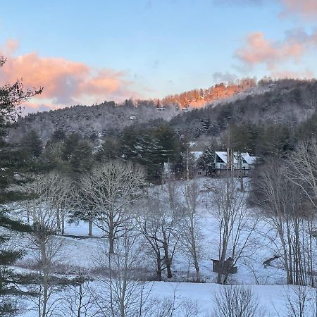 Longview Lodge Dillard Bagian luar foto