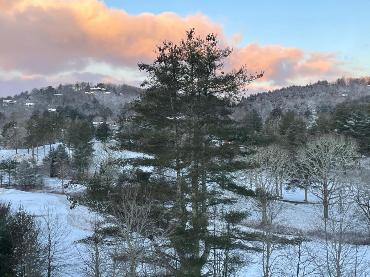 Longview Lodge Dillard Bagian luar foto